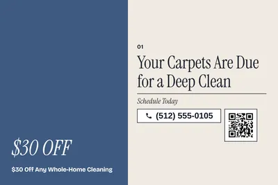 Contemporary · Big Offer: Your Carpets Are Due for a Deep Clean