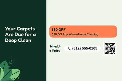 Jungle · Offer Menu: Your Carpets Are Due for a Deep Clean
