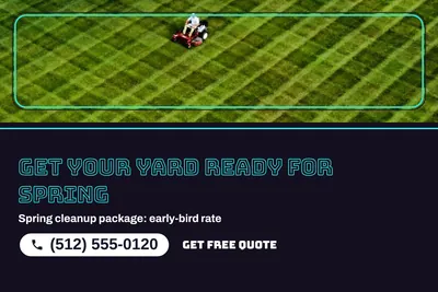 Neon night · Photo Hero: Get Your Yard Ready For Spring