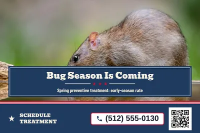 Vintage Americana · Photo Hero: Bug Season Is Coming
