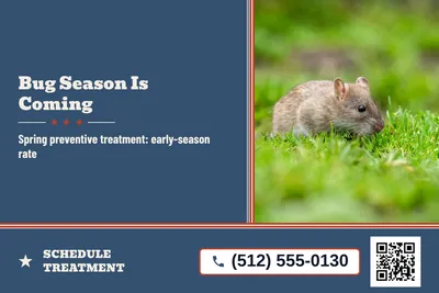 Vintage Americana · Split: Bug Season Is Coming