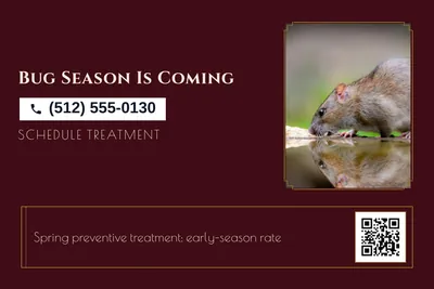 Art deco · Coupon: Bug Season Is Coming