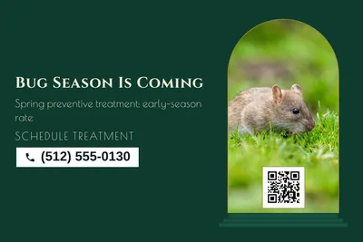 Art deco · Photo Frame: Bug Season Is Coming