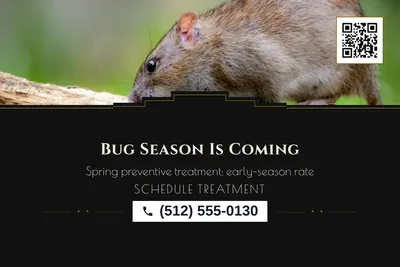 Art deco · Photo Hero: Bug Season Is Coming