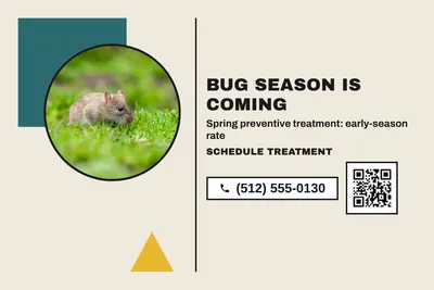 Bauhaus · Photo Frame: Bug Season Is Coming