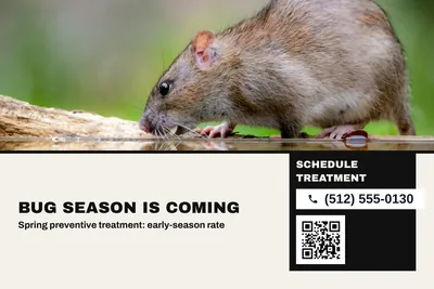 Bauhaus · Photo Hero: Bug Season Is Coming