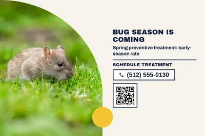 Bauhaus · Split: Bug Season Is Coming