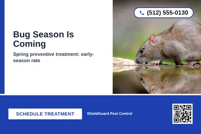 Bold Color Block · Bottom Bar: Bug Season Is Coming