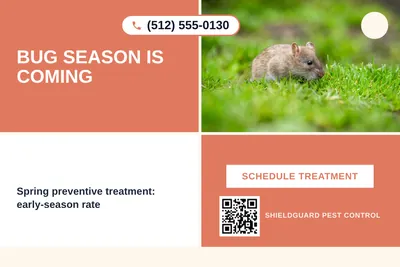 Bold Color Block · Checkerboard: Bug Season Is Coming