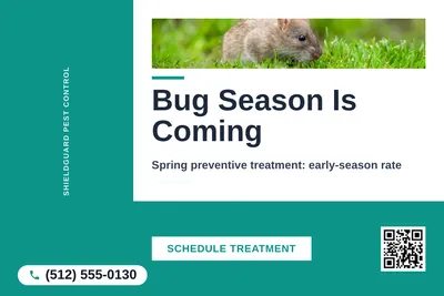 Bold Color Block · L-Shape Block: Bug Season Is Coming