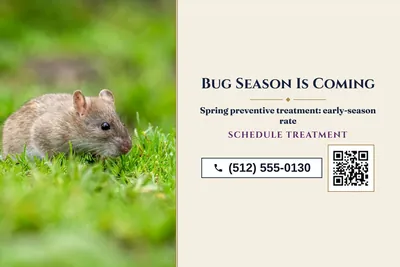 Classic · Split: Bug Season Is Coming