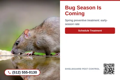 Clean Photo · Photo Left, Text Right: Bug Season Is Coming