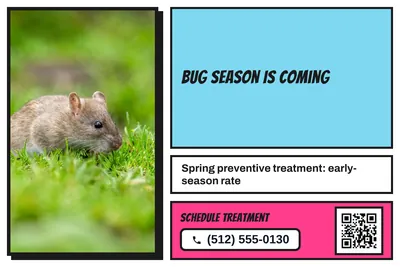 Comic pop · Photo Frame: Bug Season Is Coming