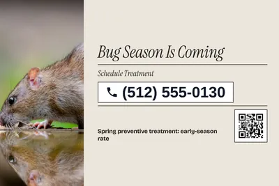 Contemporary · Phone Billboard: Bug Season Is Coming