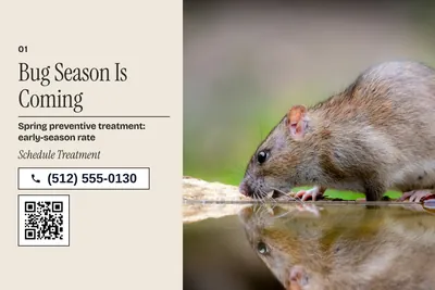 Contemporary · Photo Hero: Bug Season Is Coming