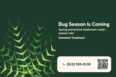 Jungle · Big Offer: Bug Season Is Coming