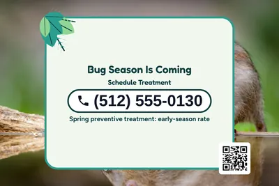 Jungle · Phone Billboard: Bug Season Is Coming