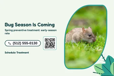 Jungle · Photo Frame: Bug Season Is Coming