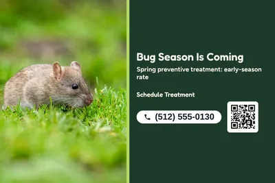Jungle · Split: Bug Season Is Coming