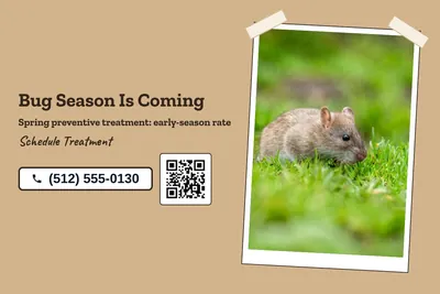 Kraft and stamp · Photo Frame: Bug Season Is Coming