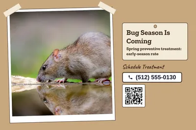 Kraft and stamp · Photo Hero: Bug Season Is Coming