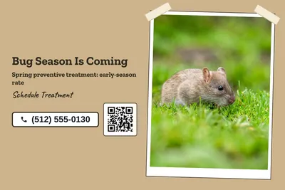 Kraft and stamp · Split: Bug Season Is Coming