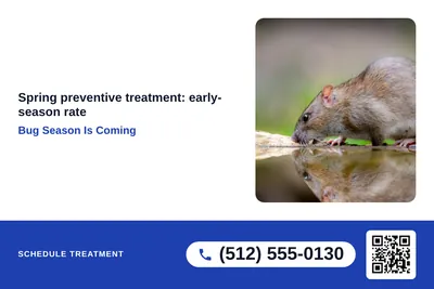 Local Offer · Big Offer: Bug Season Is Coming