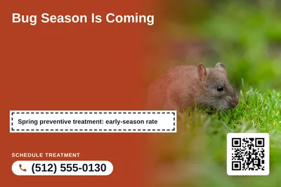 Local Offer · Coupon: Bug Season Is Coming