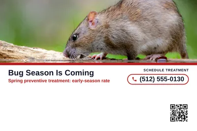 Local Offer · Ribbon and Stack: Bug Season Is Coming