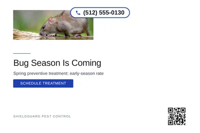 Minimal White · Bottom Heavy: Bug Season Is Coming