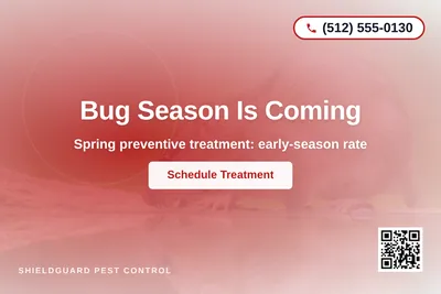 Modern Gradient · Radial Burst: Bug Season Is Coming
