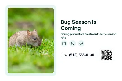Modern · Photo Frame: Bug Season Is Coming