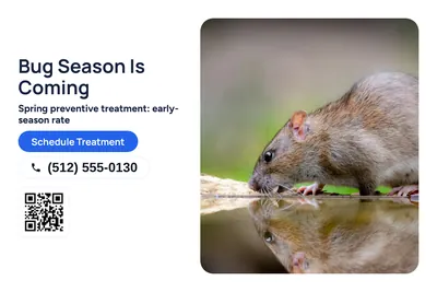 Modern · Photo Hero: Bug Season Is Coming