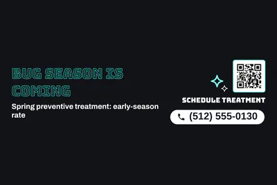 Neon night · Big Offer: Bug Season Is Coming