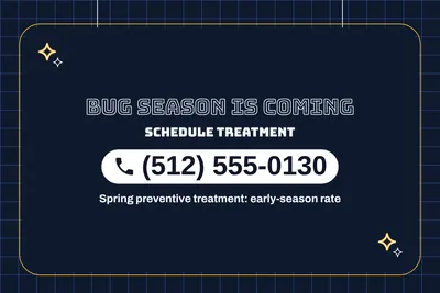 Neon night · Phone Billboard: Bug Season Is Coming
