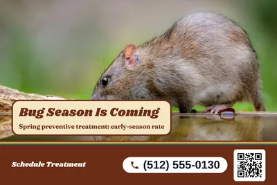 Retro 70s · Photo Hero: Bug Season Is Coming