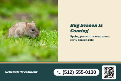 Retro 70s · Split: Bug Season Is Coming