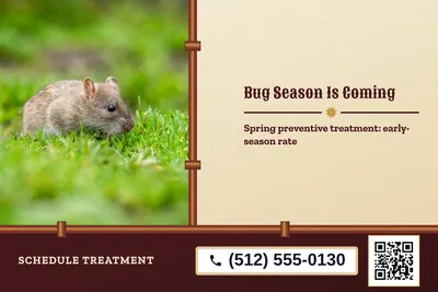 Steampunk · Split: Bug Season Is Coming