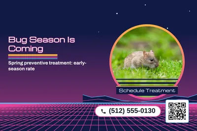 Synthwave · Photo Frame: Bug Season Is Coming