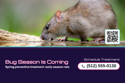 Synthwave · Photo Hero: Bug Season Is Coming