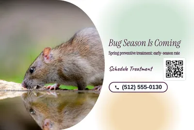 Soft watercolour · Photo Hero: Bug Season Is Coming