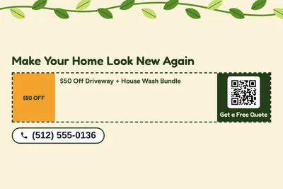 Jungle · Coupon: Make Your Home Look New Again