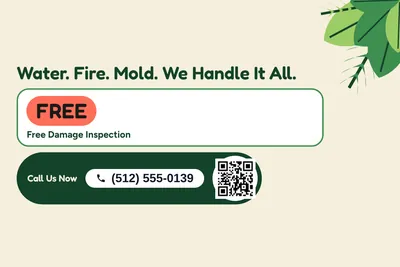 Jungle · Checklist: Water. Fire. Mold. We Handle It All.