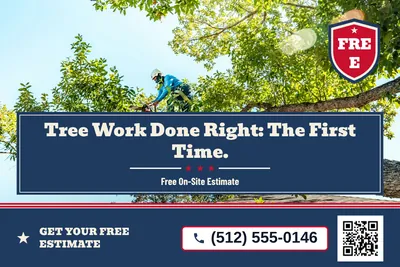 Vintage Americana · Photo Hero: Tree Work Done Right: The First Time.