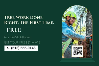 Art deco · Photo Frame: Tree Work Done Right: The First Time.
