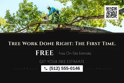 Art deco · Photo Hero: Tree Work Done Right: The First Time.