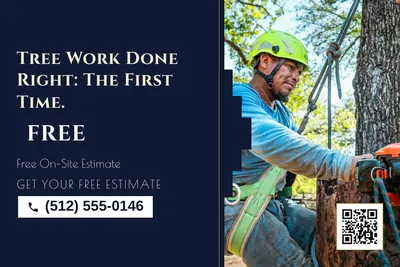 Art deco · Split: Tree Work Done Right: The First Time.