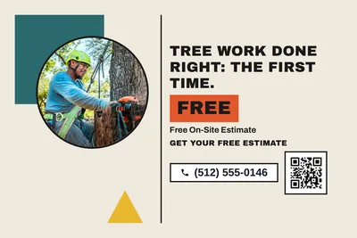Bauhaus · Photo Frame: Tree Work Done Right: The First Time.