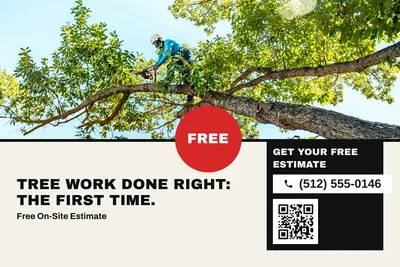 Bauhaus · Photo Hero: Tree Work Done Right: The First Time.