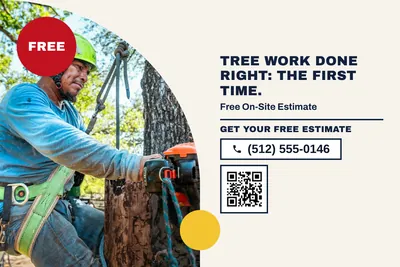Bauhaus · Split: Tree Work Done Right: The First Time.